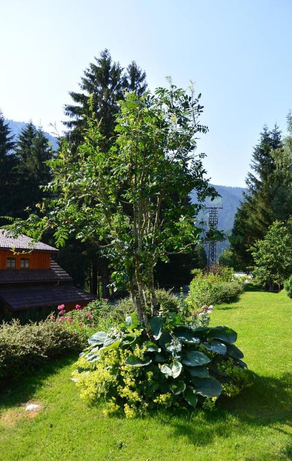 Die Kalsbergerin Ferienwohnung Fuer Geniesser Donnersbachwald Eksteriør bilde